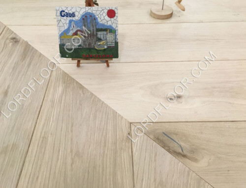 Chevron Plank Floor Lunched at Lord Parquet!