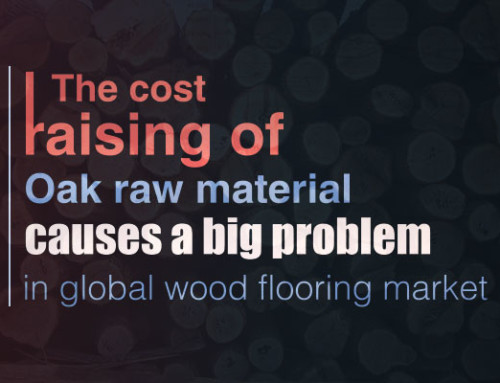  The cost raising of Oak raw material causes a big problem in flooring market