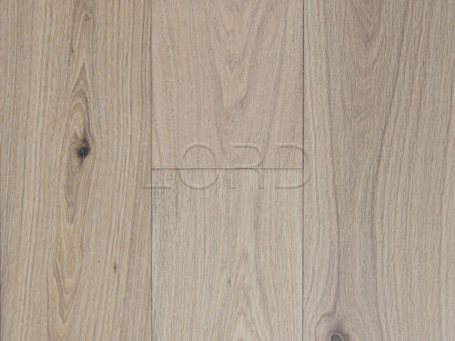 NE-04 Mist White