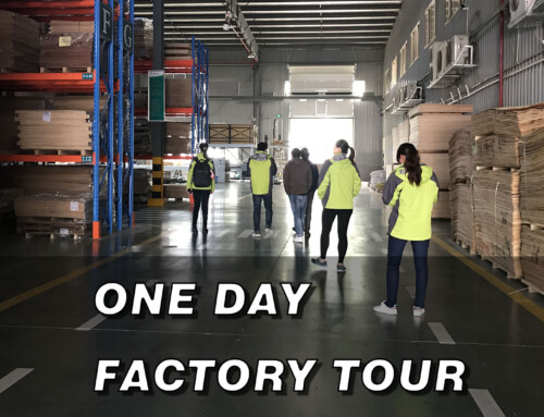 #3 One Day Factory Tour