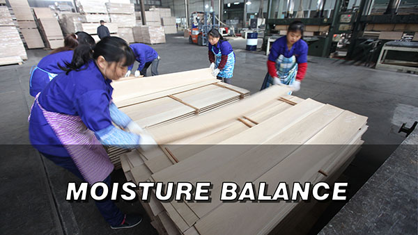 Floor veneer Moisture Balance