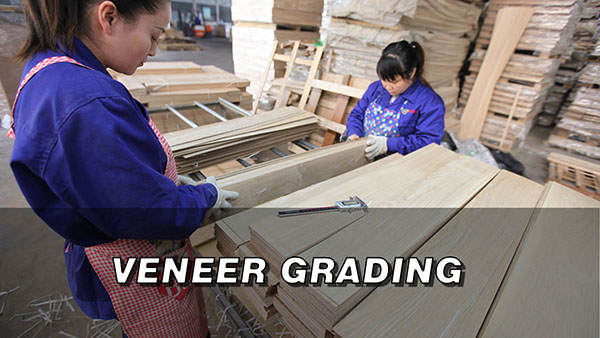 Floor Veneer Grading